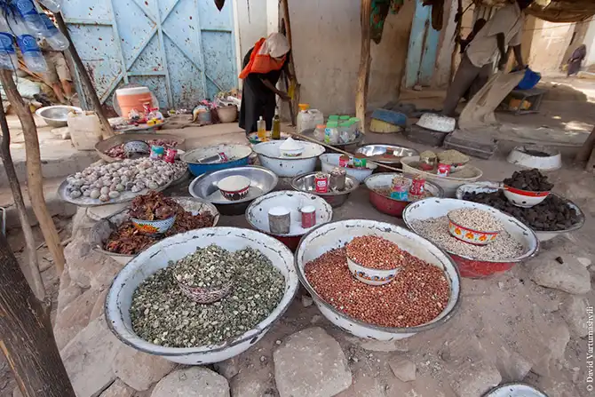 Долгая дорога домой