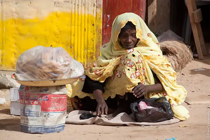 Долгая дорога домой