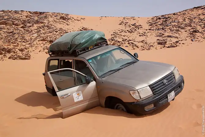 Долгая дорога домой