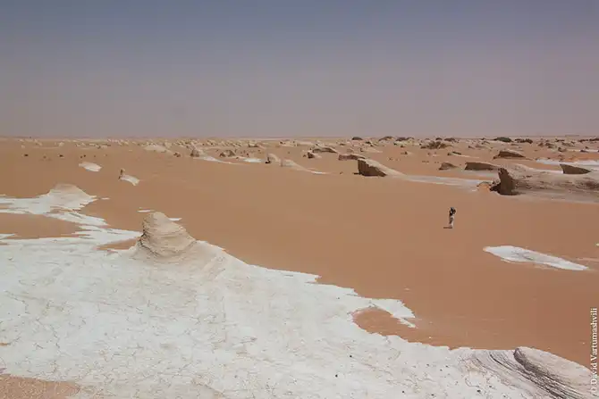 Долгая дорога домой