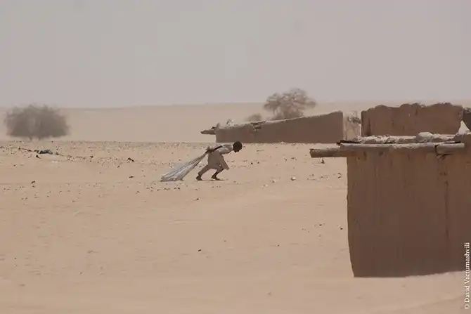 Долгая дорога домой