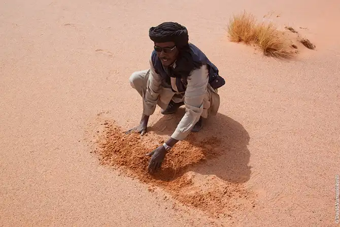 Долгая дорога домой