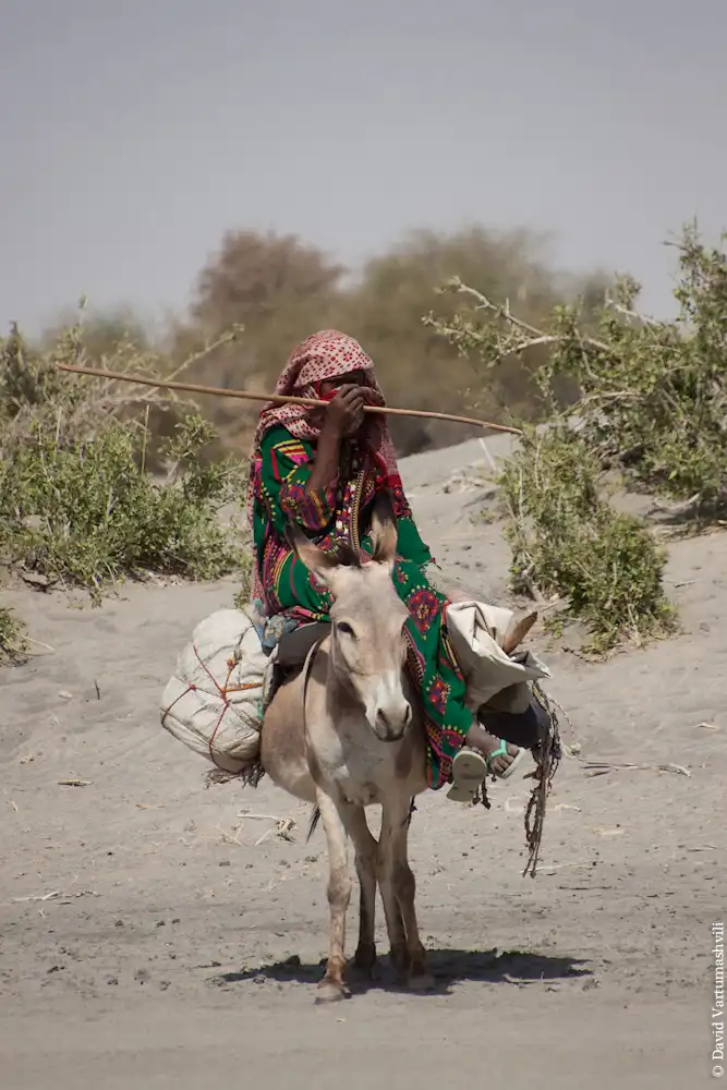 Долгая дорога домой