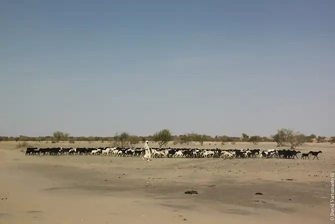 Долгая дорога домой