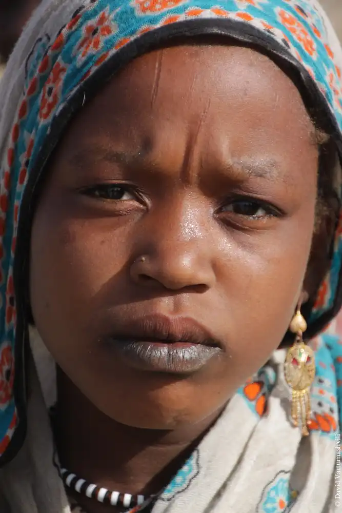 Долгая дорога домой