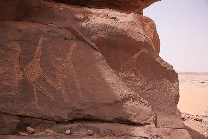 Долгая дорога домой