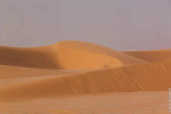 Долгая дорога домой