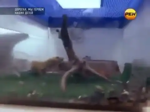 Офигенно выбрал