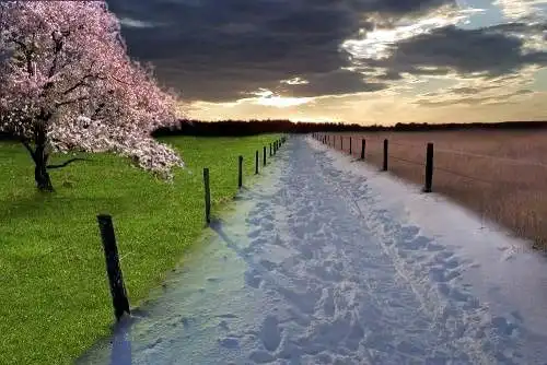 Соляночка =З