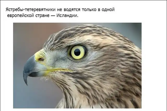 Интересно о животных