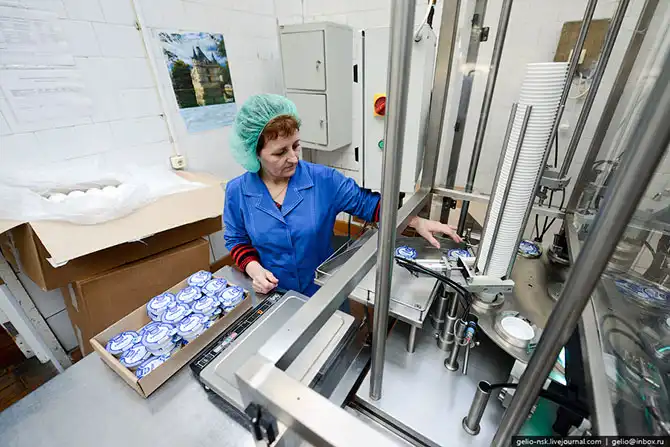 Промышленность Барнаула