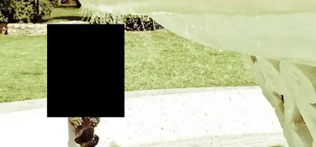 День ВДВ в Питере