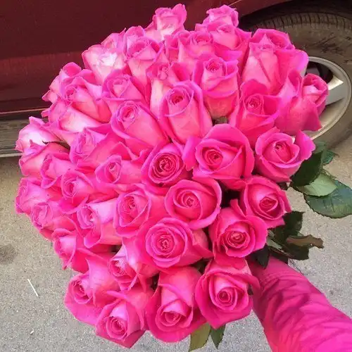 Соляночка =З