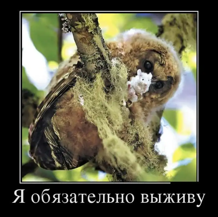 Картинки в черной рамке