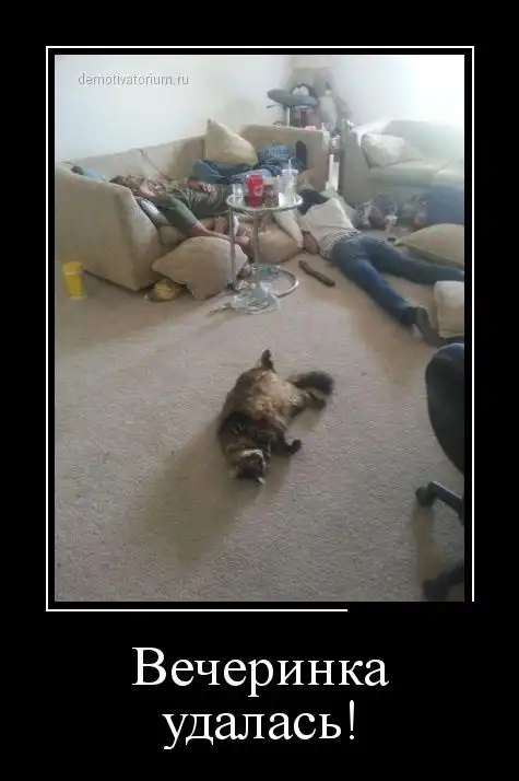 Картинки в черной рамке