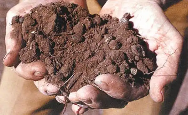 Биогаз из биомасс. Часть 2. Технология.