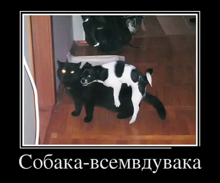 Картинки в черной рамке