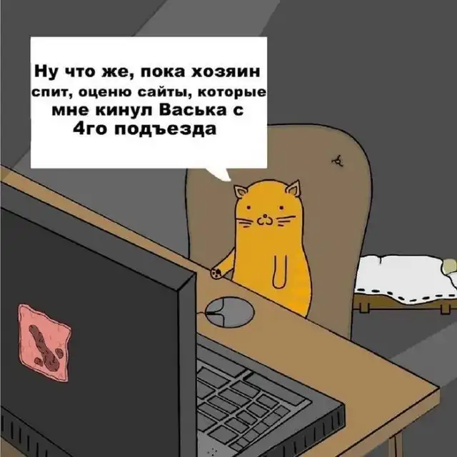 Котэ из социальных сетей