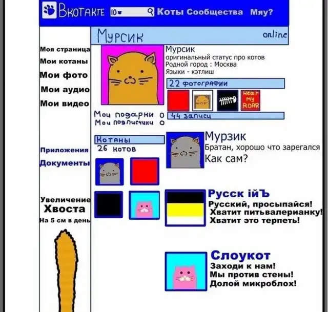 Котэ из социальных сетей