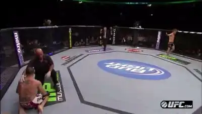 Нокаут недели