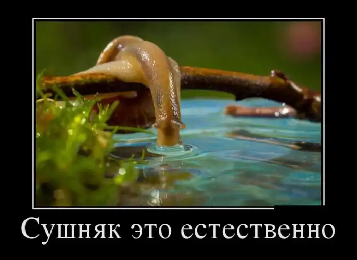 Картинки в черной рамке