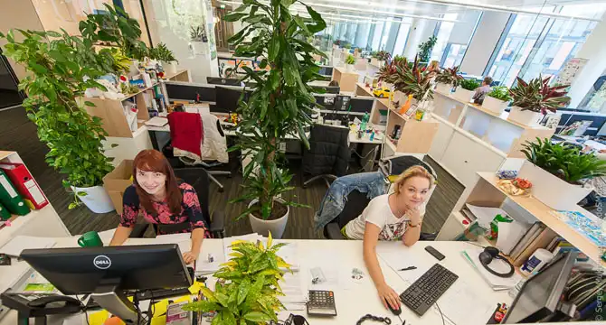 Самый обычный европейский офис IT-компании