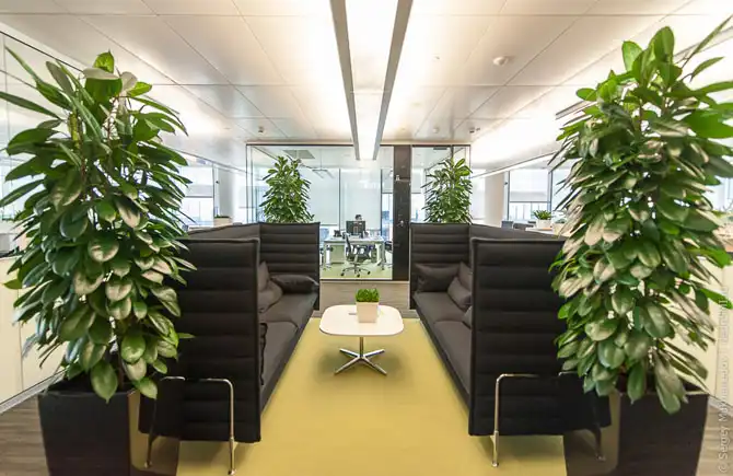 Самый обычный европейский офис IT-компании