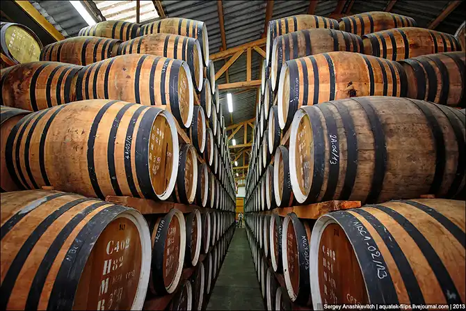 Как делают кальвадос в Нормандии