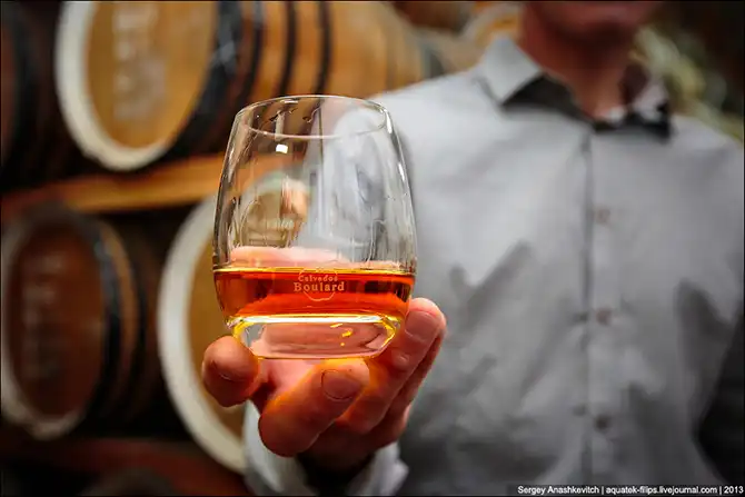 Как делают кальвадос в Нормандии