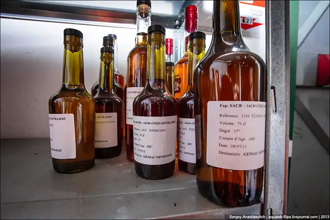 Как делают кальвадос в Нормандии