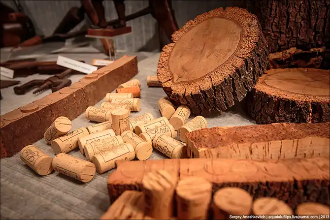 Как делают кальвадос в Нормандии