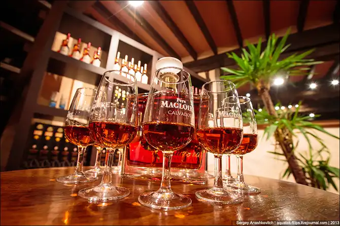 Как делают кальвадос в Нормандии