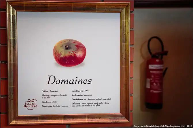 Как делают кальвадос в Нормандии