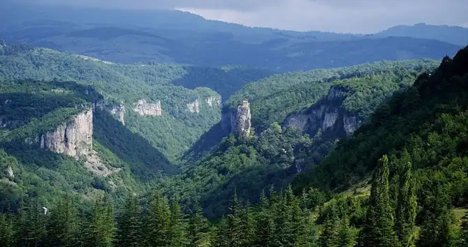 Двадцать лет одиночества