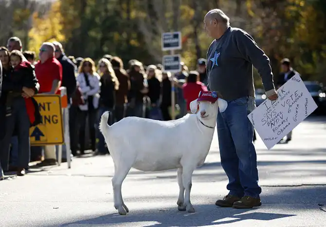 Необычные домашние животные