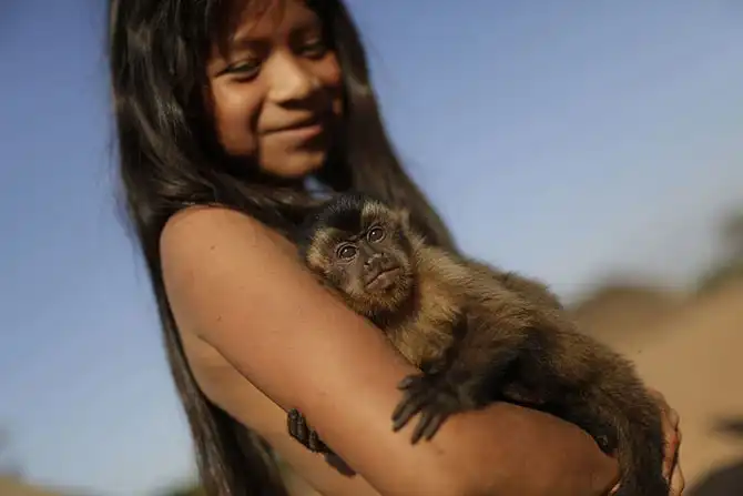 Необычные домашние животные