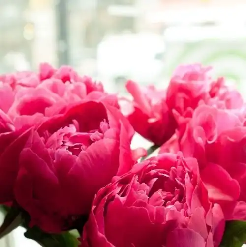 Соляночка =З