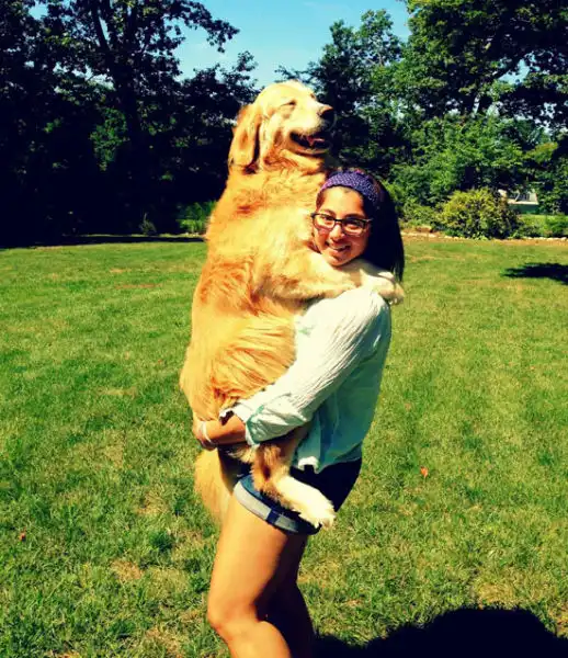 Собака - лучший друг человека