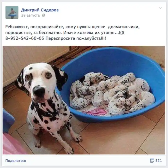 Простой способ отличить обман в интернете от правды