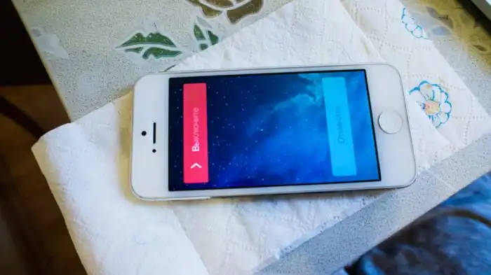 Как спасти "утопленный" или залитый iPhone 5