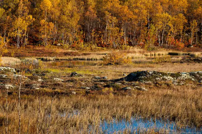 Осень на Кольском полуострове