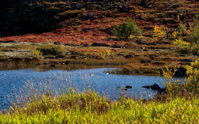 Осень на Кольском полуострове