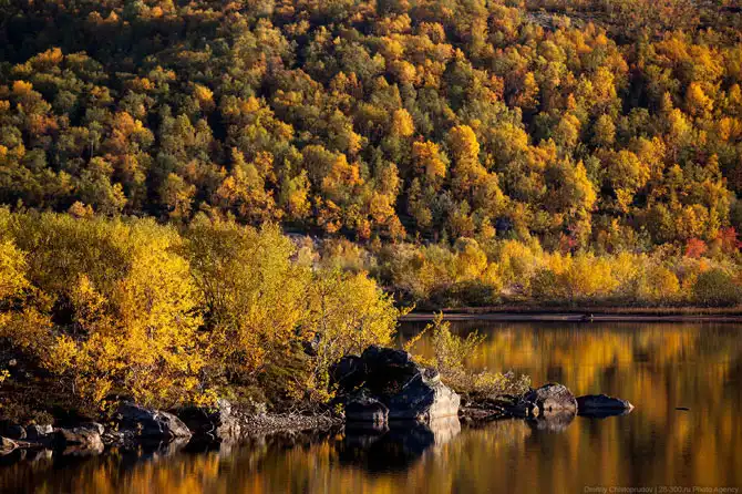 Осень на Кольском полуострове