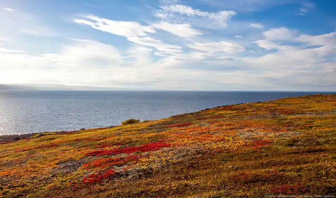 Осень на Кольском полуострове