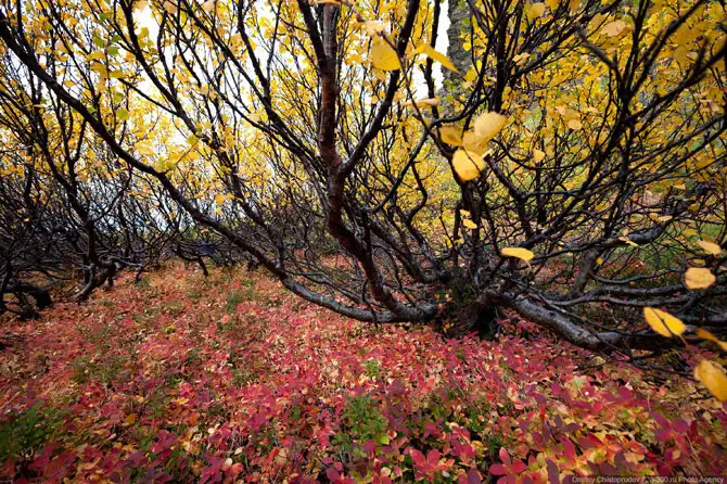 Осень на Кольском полуострове