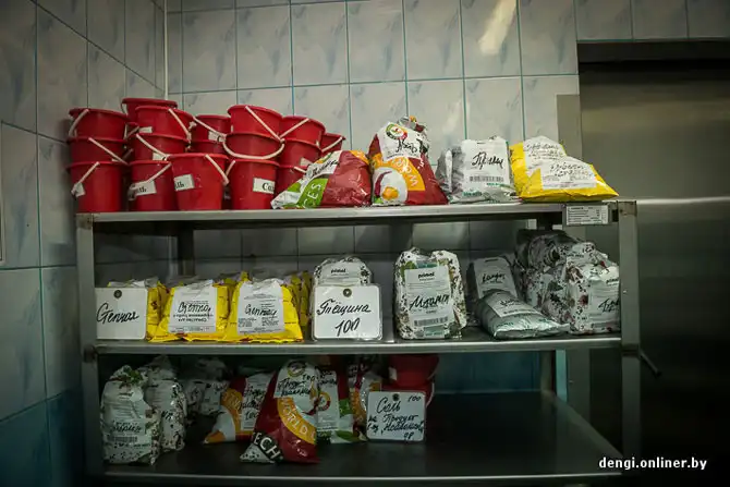 Как делаются пельмени в Беларуси