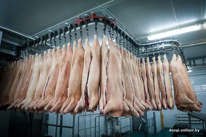 Как делаются пельмени в Беларуси