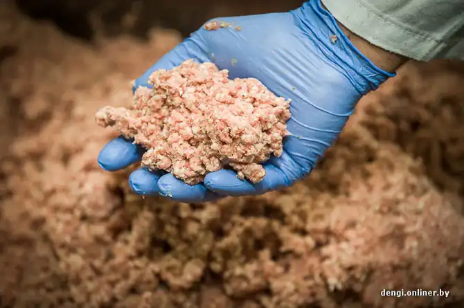 Как делаются пельмени в Беларуси