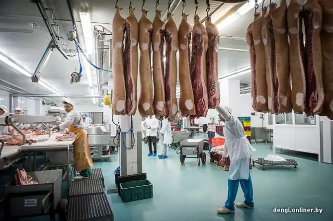 Как делаются пельмени в Беларуси