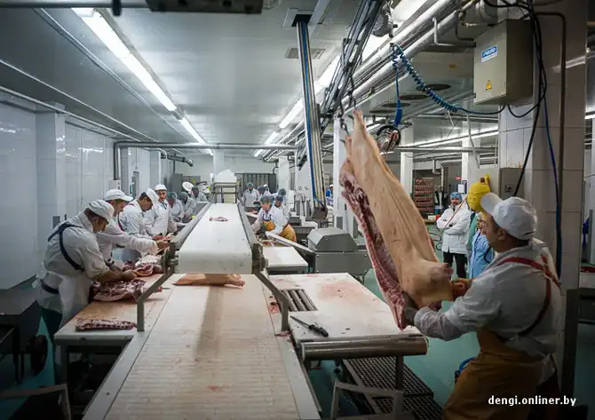 Как делаются пельмени в Беларуси